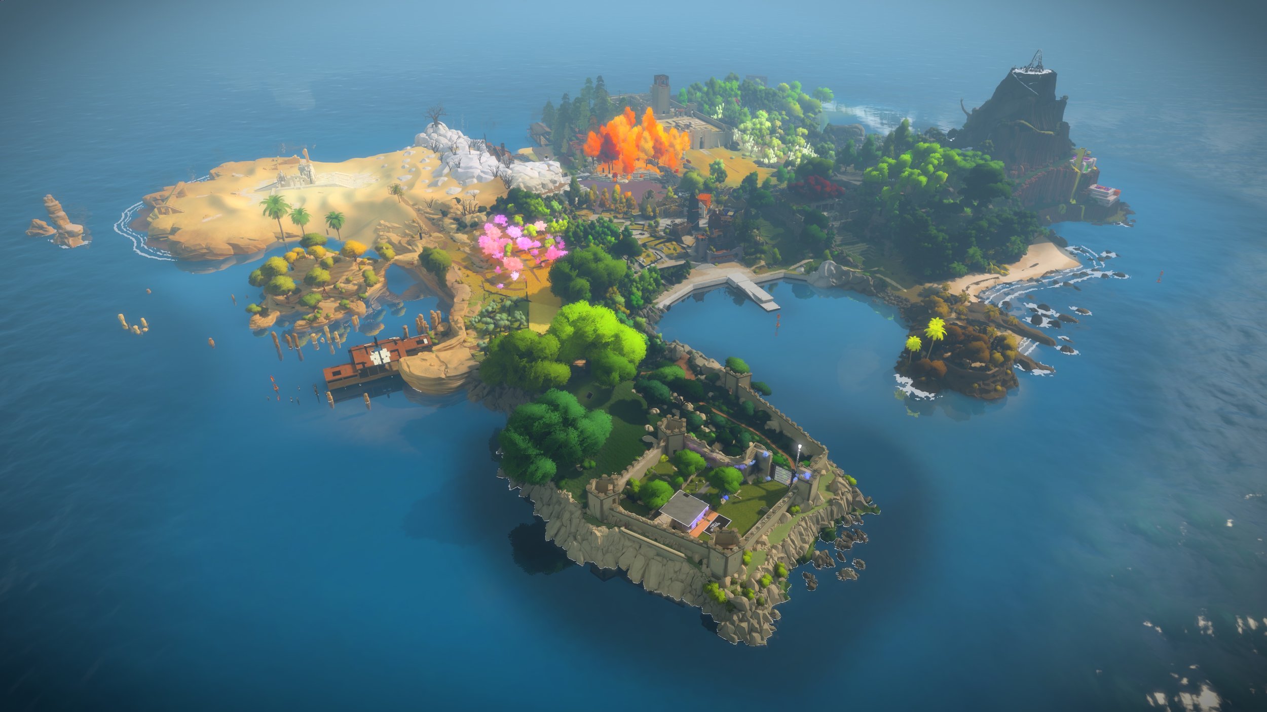 The Witness header image